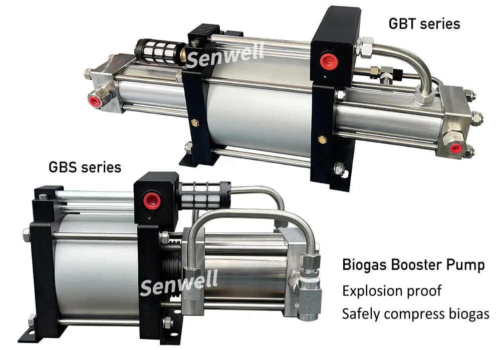 Biogas booster pump structure diagram