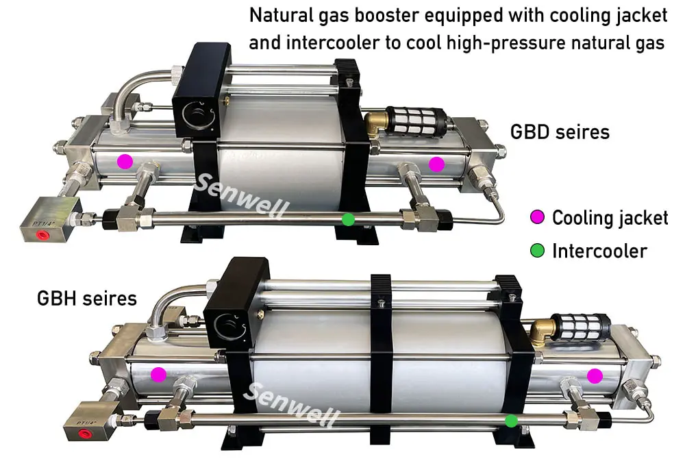 Natural gas booster pump structure diagram